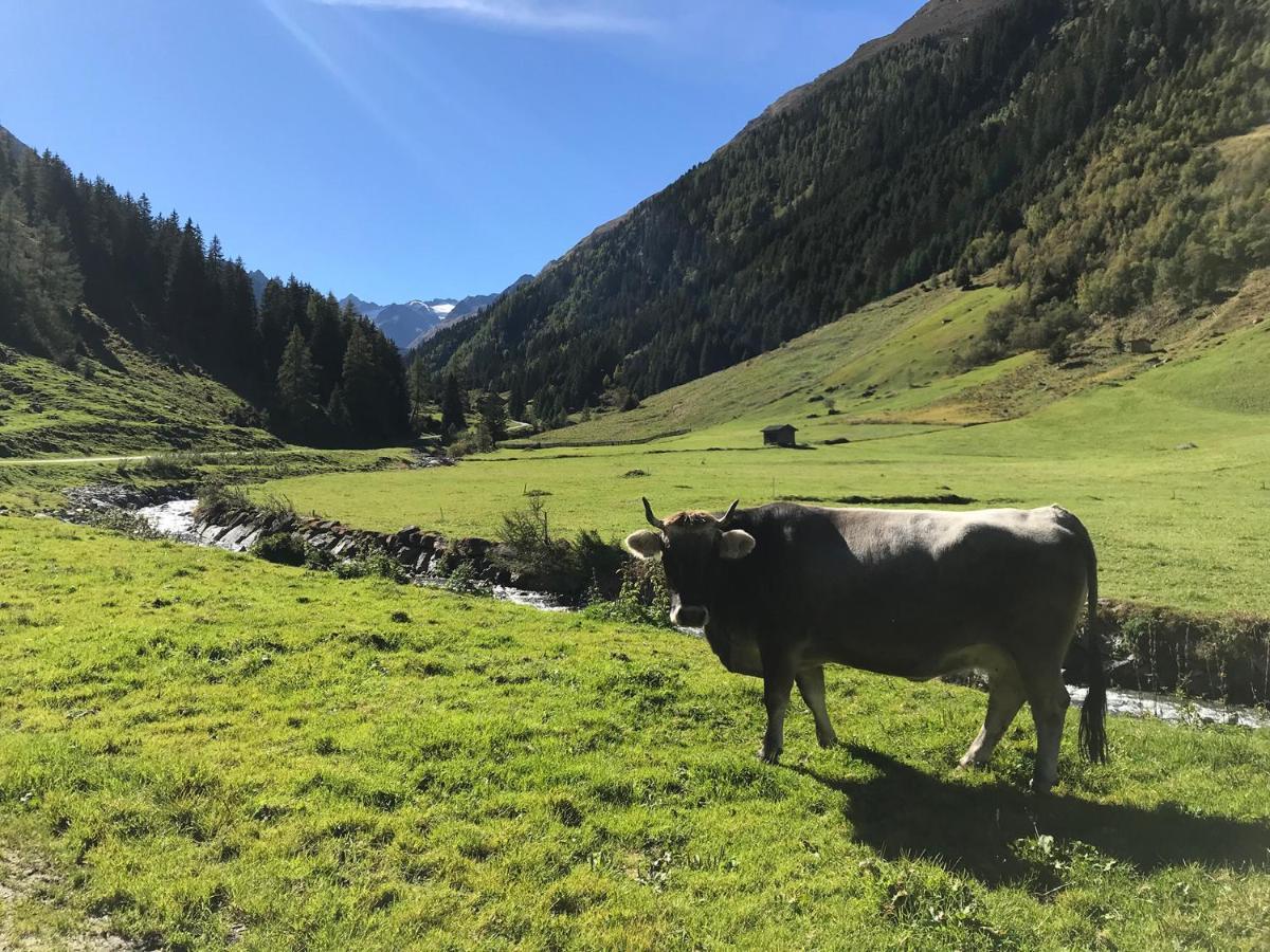 Hotel Almhof Neustift im Stubaital Luaran gambar